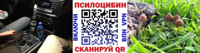 Псилоцибиновые грибы Magic Shrooms  Мураши 