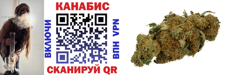 Конопля семена  сколько стоит  Мураши 